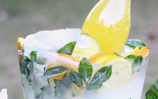 DIY : le Frozen Ice Bucket