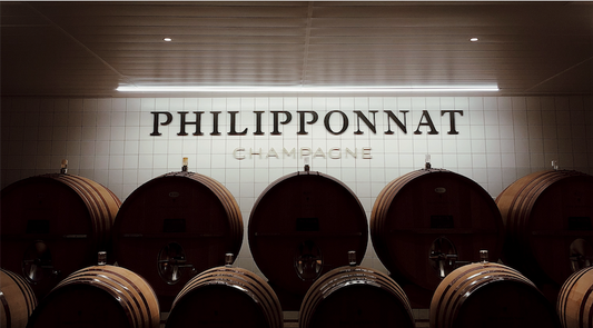 Des blogueuses dans les vignes