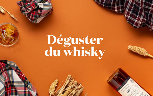 Comment déguster un whisky facilement ?