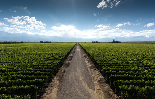 Un petit tour en Argentine ?