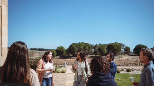 Top 4 des régions œnotouristiques à découvrir en Espagne