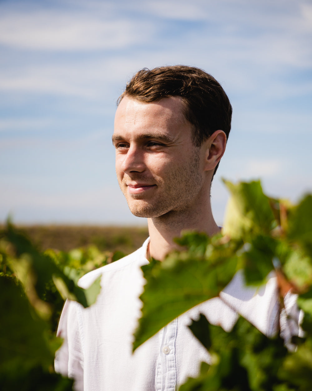 Sequentis - Blanco - Vino de Francia - Blanco - 2024