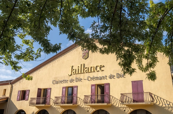 Bodega de Die Jaillance