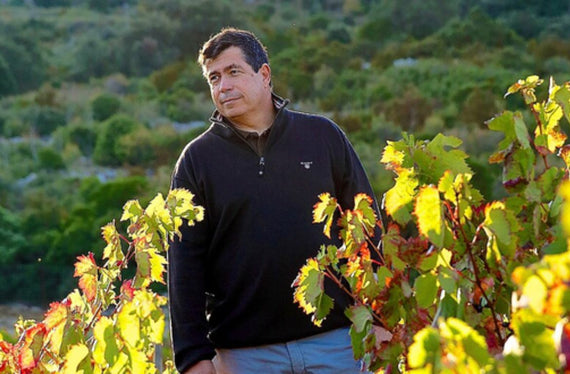 Bodega del Abad Rous - Hervé Bizeul