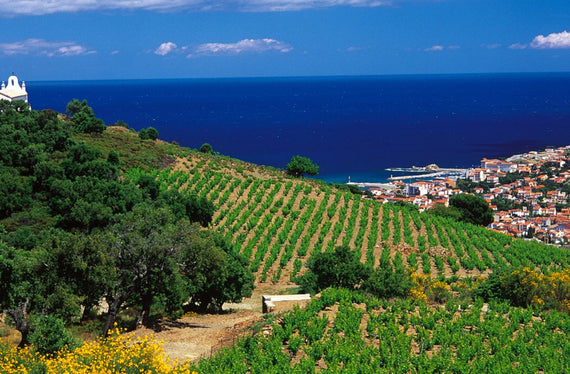 Bodega del Abad Rous