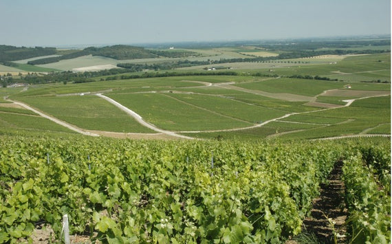 Champán Augustin