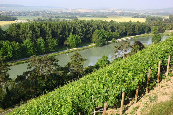 Champán Philipponnat