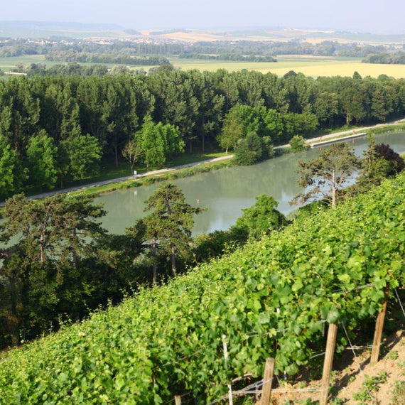 Champagne Philipponnat