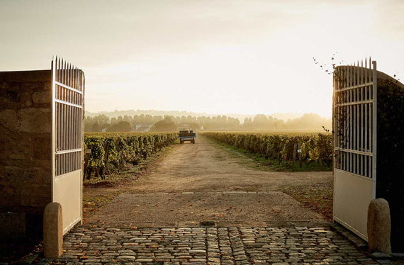 Château Coutet (Sauternes y Barsac)