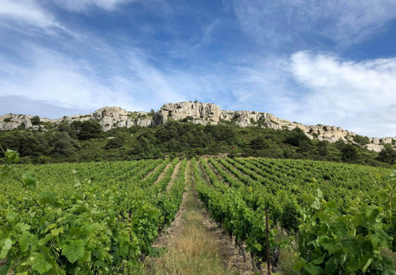 Castillo de Figuières