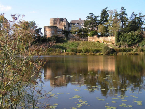 Castillo de Passavant