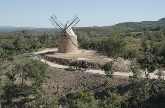 Château Fontainebleau