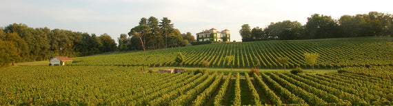 Château Goutte d'Or