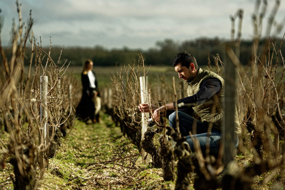 Château Vieux Moulin