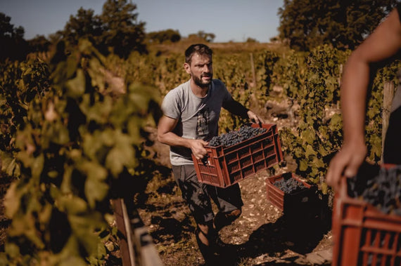 Clos d'Audhuy