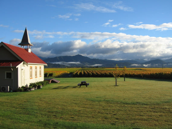 Viñedo Clos Henri