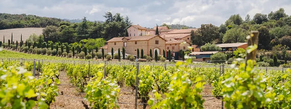 Domaine Bellavista
