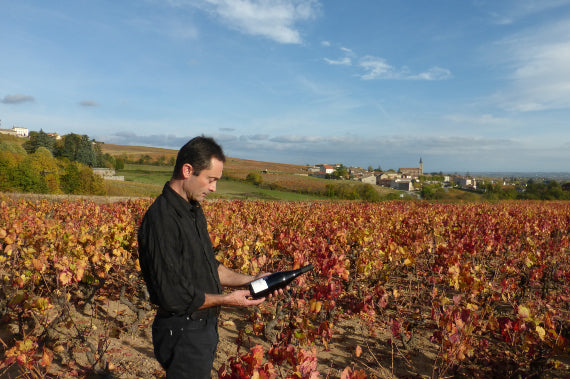 Domaine Benon Rémi
