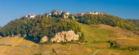 Domaine Berthet-Bondet