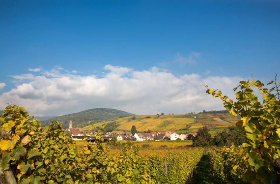 Domaine Charles Sparr