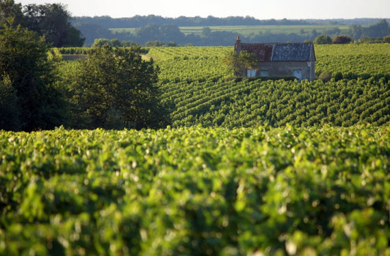 Dominio de la Cruz Mélier