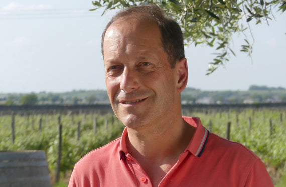 Dominio de la Paleine