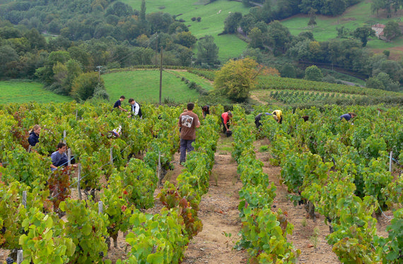 Domaine de la Pierre des Dames