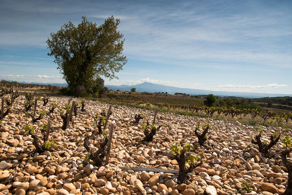 Dominio de los 3 Cellier
