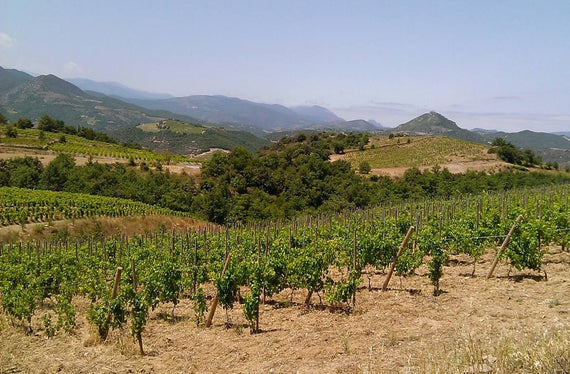 Domaine des Hautes Plaines