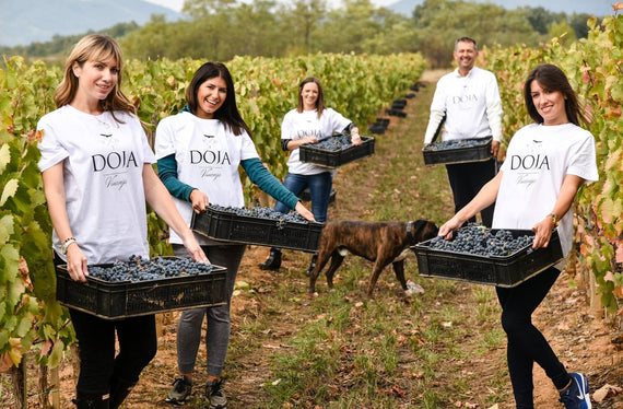 DOMAINE DOJA