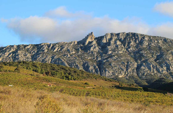 Domaine Jean Louis Vera