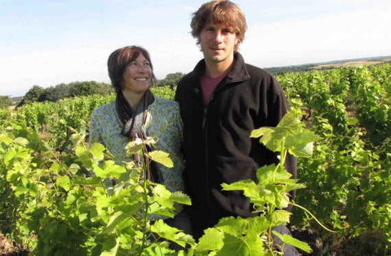 Dominio La Grange Tiphaine
