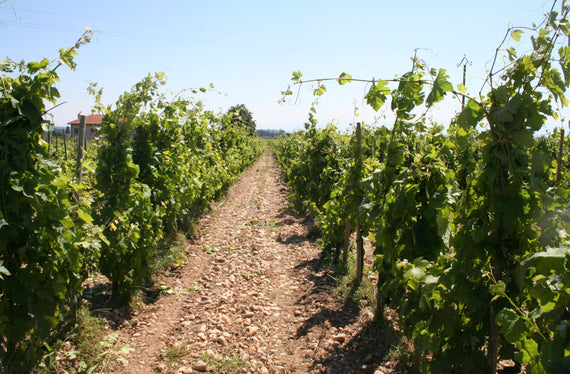 Domaine les 4 Vents