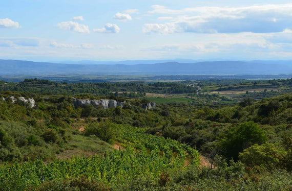 Domaine Les Combes Cachées