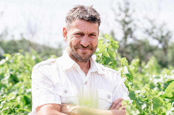 Dominio Ricardelle de Lautrec