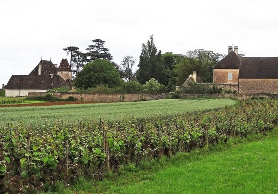 Domaine Roy & Fils
