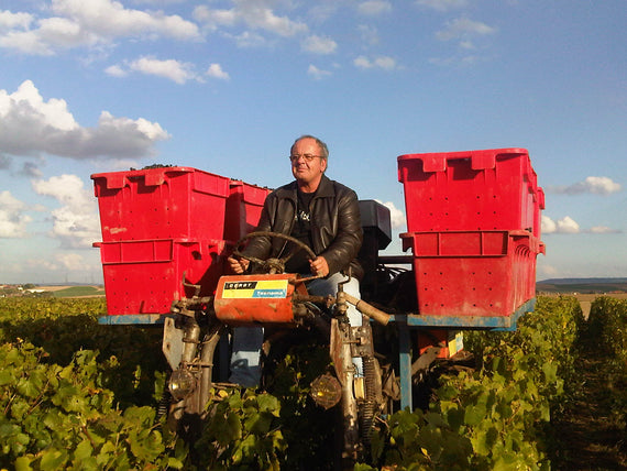 Dominio Thierry Pasqua