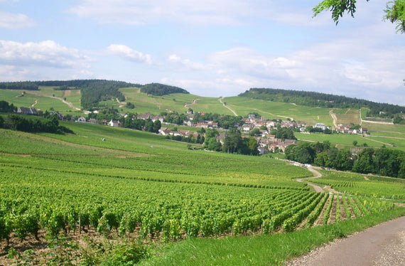 Dominio Trémeaux