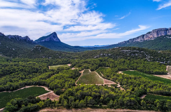 Ermita del Pic Saint-loup