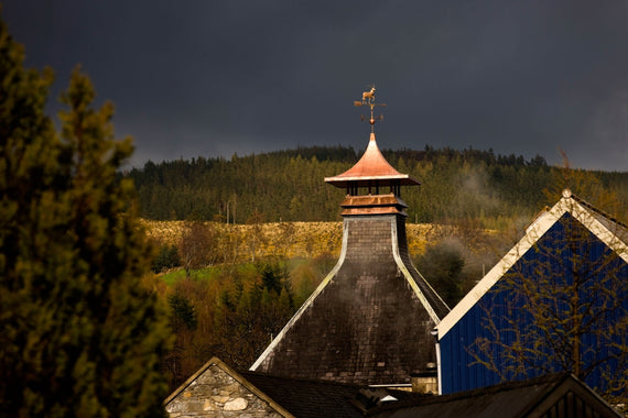 Glenfiddich