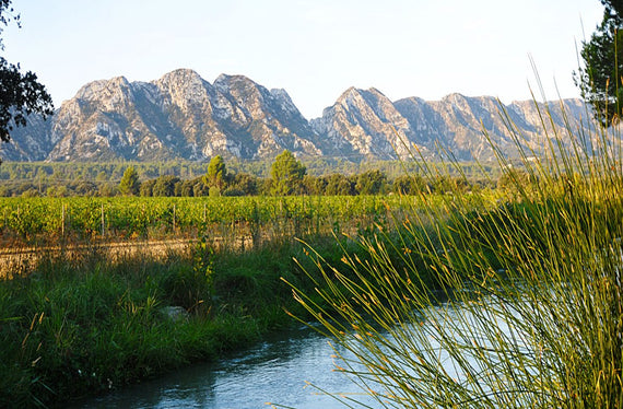 Las Tierras Blancas