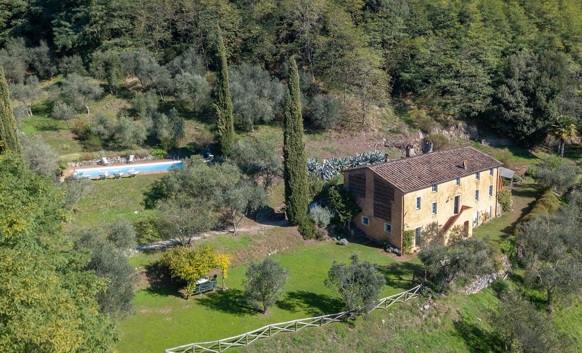 Maison Damiano