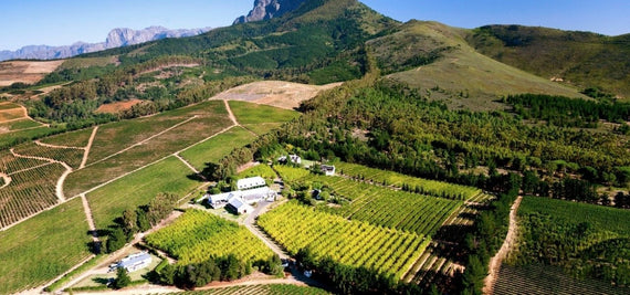 Viñedo Marianne