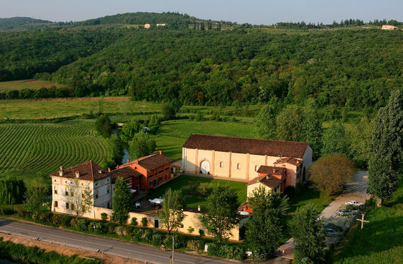 Musella