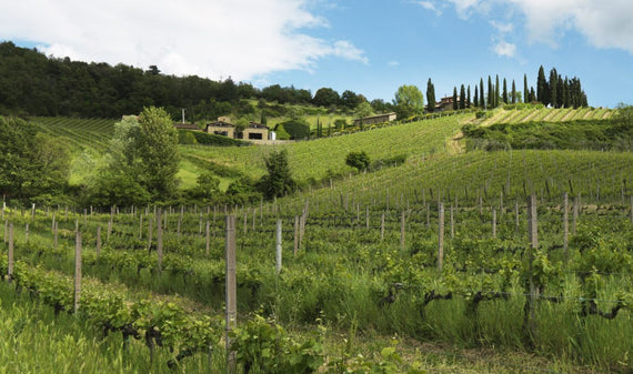Querciabella