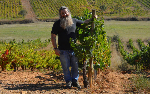 Raúl Pérez Bodegas y Viñedos