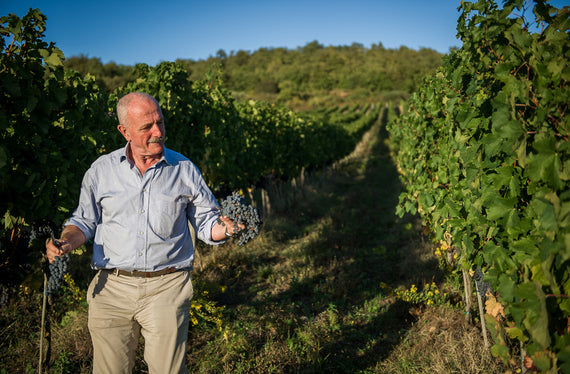 Tenuta Casenuove