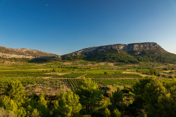 Terres Plurielles