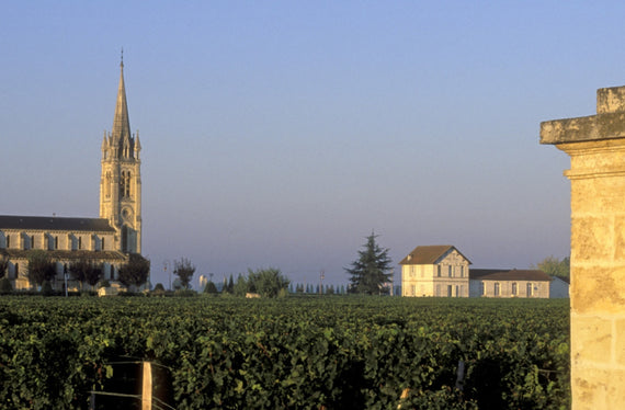 Viñedos G.Arpin