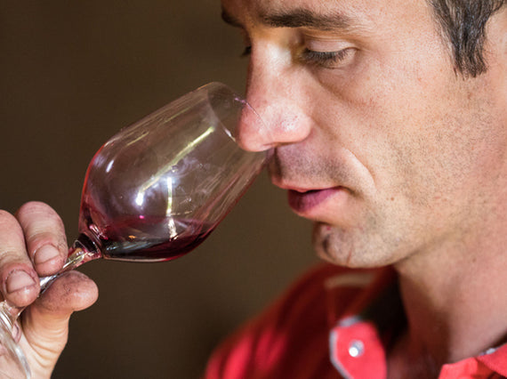 Viñedos Guillaume Guérin